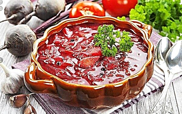 New crop: how the prices of early vegetables of “borsch set” in Ukraine changed over the year