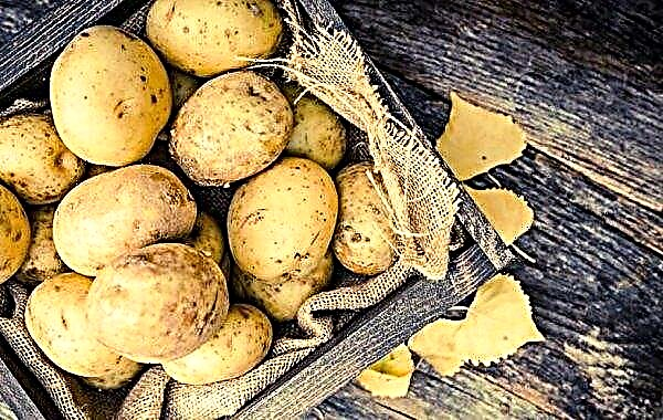 Potatis i Ukraina blir billigare