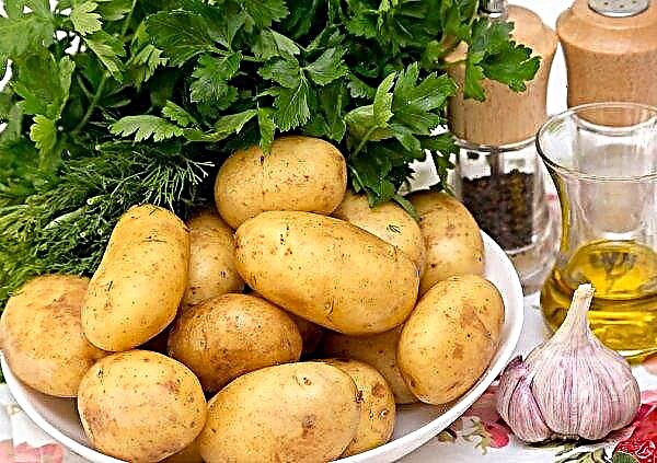 בקייב נמכרים תפוחי אדמה צעירים במחיר של 70 UAH / ק"ג