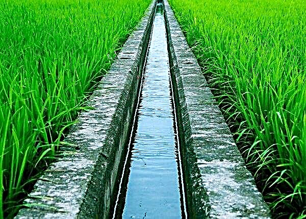 One-click irrigation practices greenhouse from China