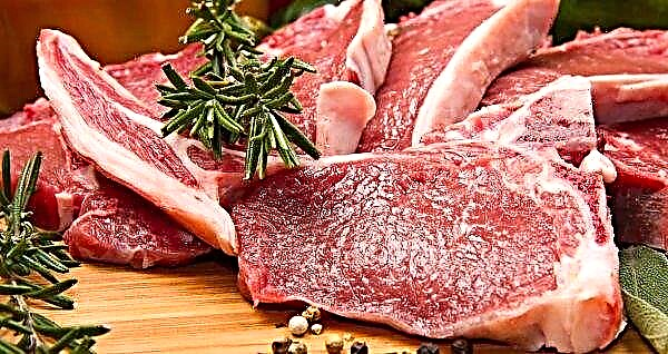 Brexit beznodokļu tarifi var būt liels ieguvums Dienvidamerikas liellopu gaļas ražotājiem