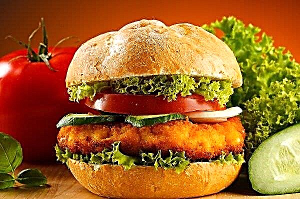 Italians will “grow” cutlets in Bashkiria for the popular fast food chain