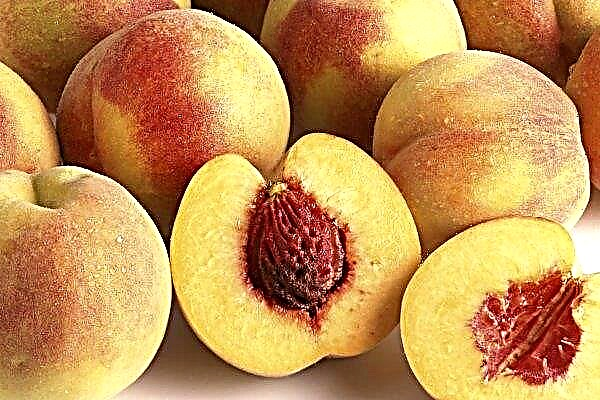 Crimea entered the "peach season"
