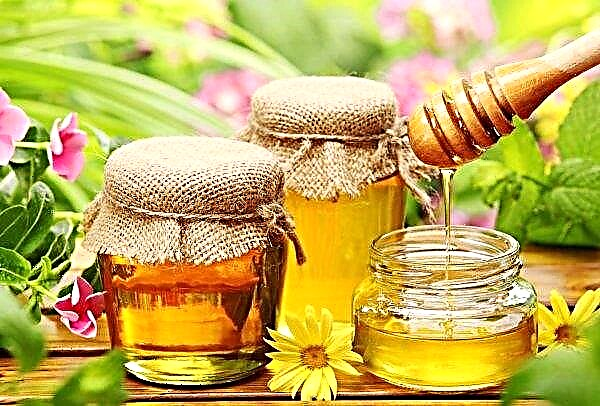 شركة بولتافا تطلق إنتاج العسل من العصي