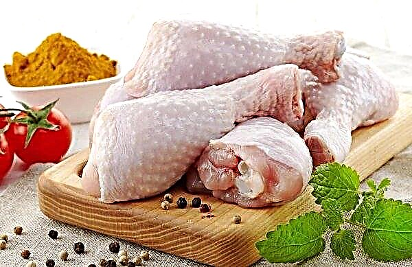 Certificate on the export of poultry to China received eight Russian producers