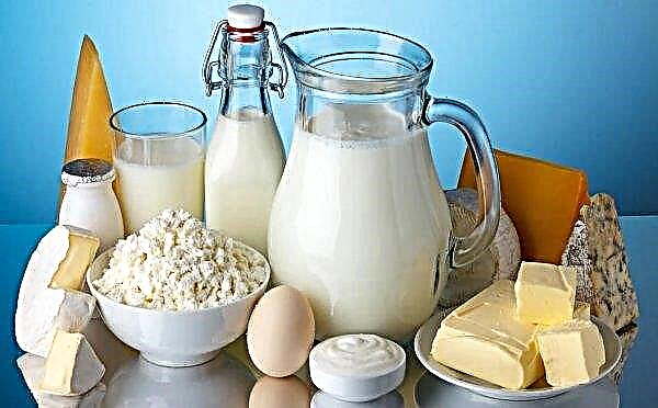 Suurbritannias nõuab piimatoodete parlamendirühm pärast Brexitit eksporditoetust