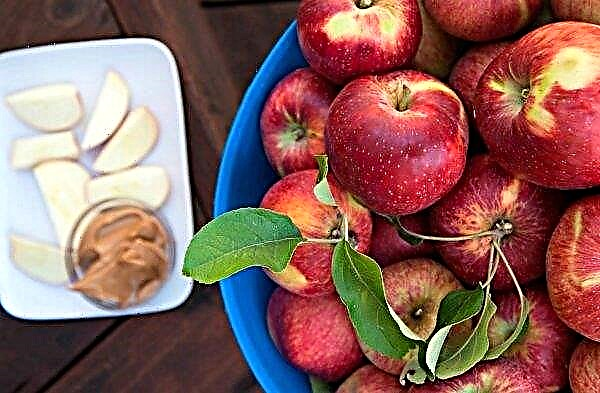 قد لا تكون الزيادة في أسعار التفاح في أوكرانيا قادرة على إنقاذ الموسم الفاشل