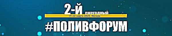 Participantes da indústria verde discutirão o tema da rega em um fórum em Moscou