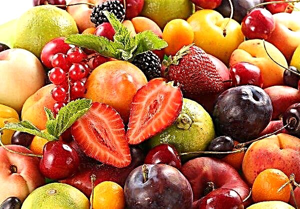 دخل التفاح المبكر أفضل 5 أنواع من الفاكهة من الأوكرانيين