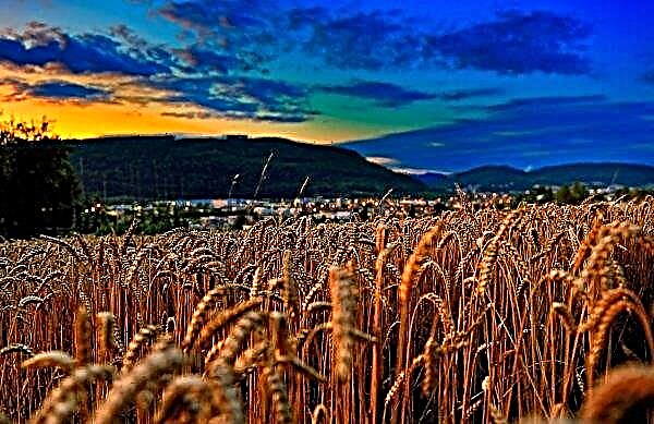 Stavropol-regionen leverer korn til Aserbajdsjan