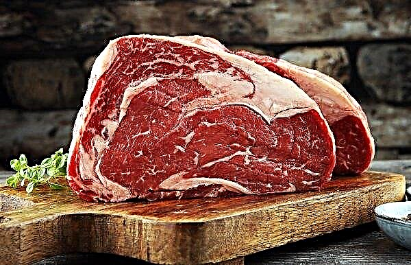 A marble beef factory opened in Kazakhstan
