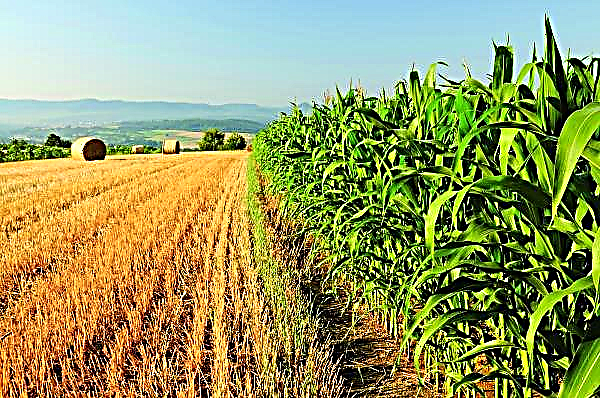 Eksperdid analüüsivad koroonaviiruse mõju Ungari põllumajandusele