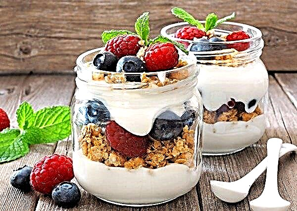 Švedska veganska marka Oatly lansira asortiman jogurta bez okusa i mlijeka