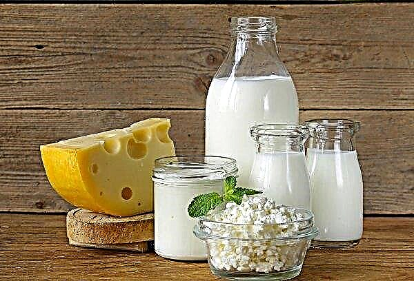 Irlandzki przemysł mleczarski uderzy 47 milionów funtów, jeśli Wielka Brytania opuści UE