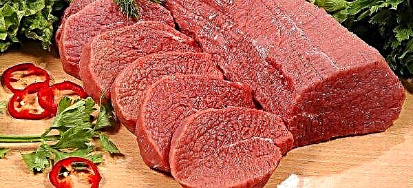 “European meat scandal” does not abate in EU