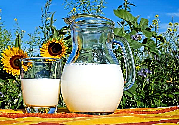 سيتم افتتاح مصنع فريد لتصنيع الحليب في منطقة لوهانسك