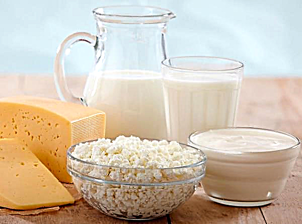 El productor de queso del noreste aumenta la capacidad de producción gracias a la subvención de empresas rurales