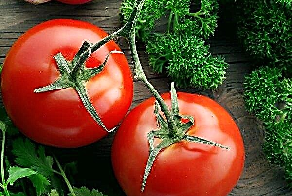 Productores de tomate mexicanos hacen nueva oferta en EE.