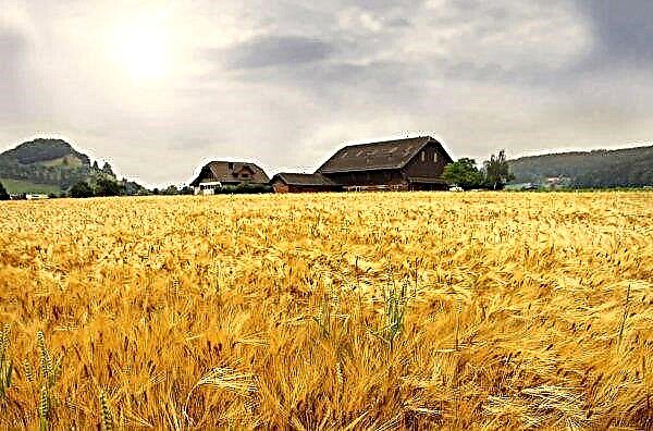 4 ay boyunca, Ukraynalı çiftçiler satın alınan ekipman için 128 milyon Grivnası tazminat aldı
