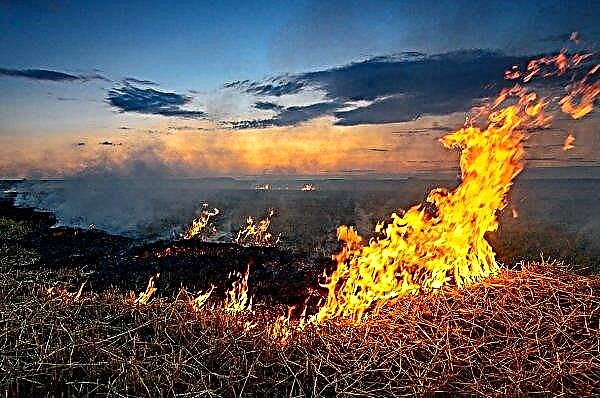 In the Nikolaev area 33 hectares of wheat and dead wood burned down