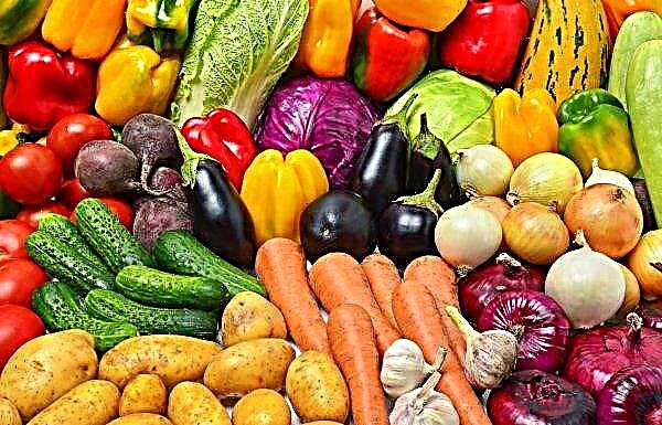 Petani Sakhalin menghantar 26 jenis sayur-sayuran ke pasar Asia Pasifik