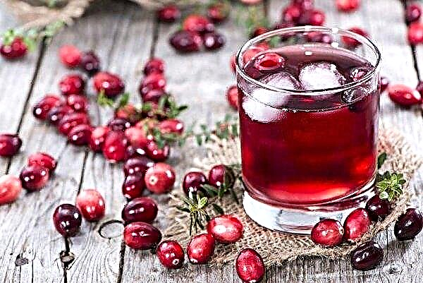 Cranberry dalam alkohol: resep buatan sendiri