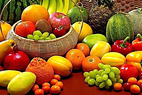 لا يستخدم البستانيون الأوكرانيون نظام تتبع الفاكهة بالكامل