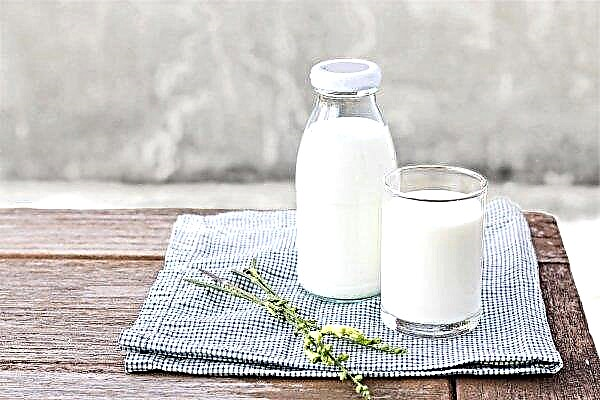Russia has established total monitoring of milk quality