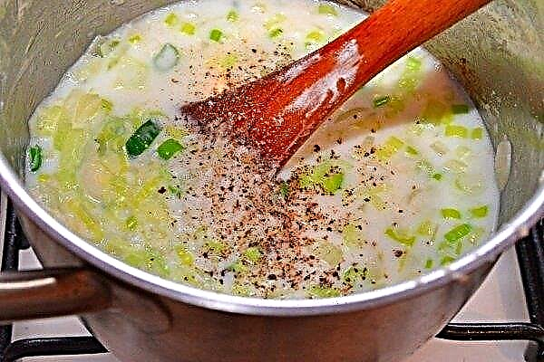 Суп для схуднення з цибулі-порею: корисні і шкідливі властивості, калорійність і хімічний склад