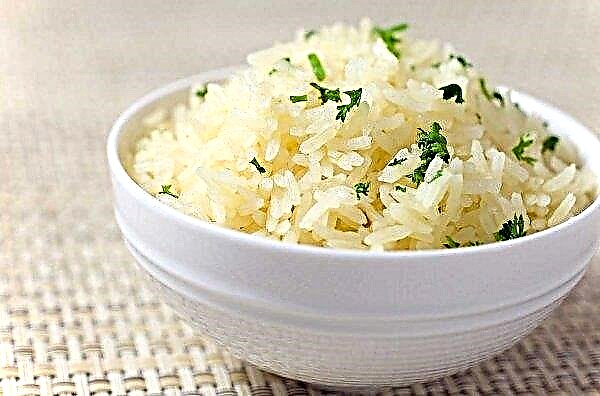 India corta la superficie de arroz