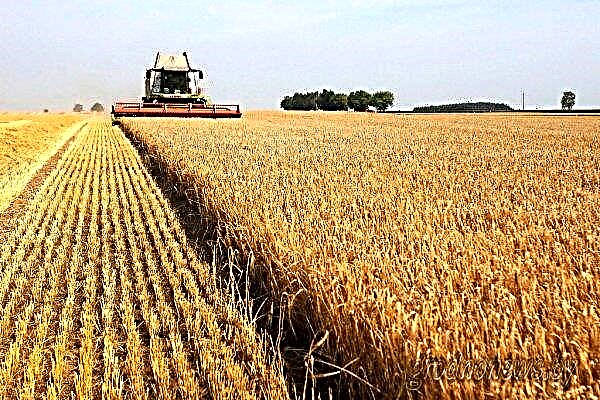 Early ardent grains began to sow in the Vinnitsa region