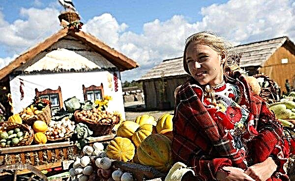 Ukrlandfarmingは40万グリブナを農村文化の発展に割り当てます