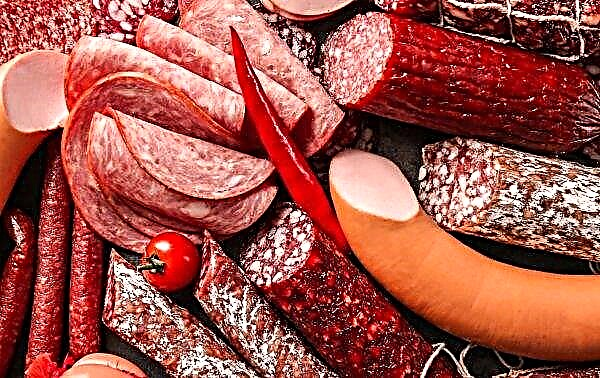 Butchers stuffed Chuvash sausage with bacteria and clostridia