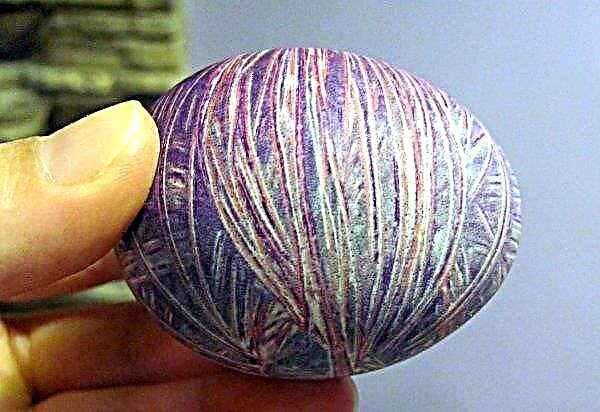 5 natural dyes for Easter eggs