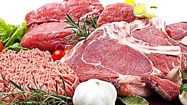 Nizhny Novgorod plant pays employees ... meat