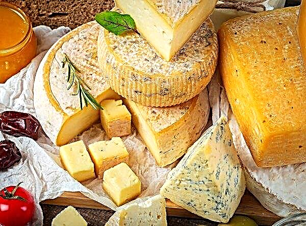 Maykop to discuss prospects for Adyghe cheese