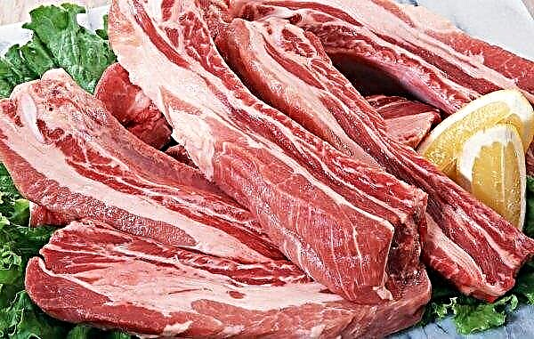 Harga daging babi telah meningkat di pasaran Rusia