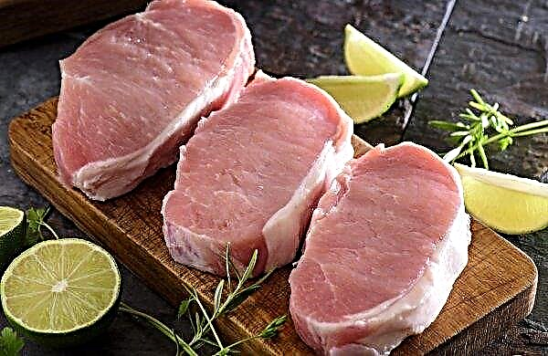 Le ministère de l'Agriculture des Philippines appelle les éleveurs de porcs locaux à augmenter la population porcine