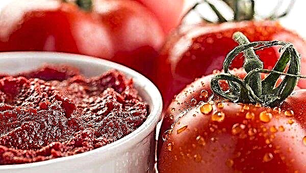 Ukraina palielināja tomātu pastas piegādi Polijai 7 reizes