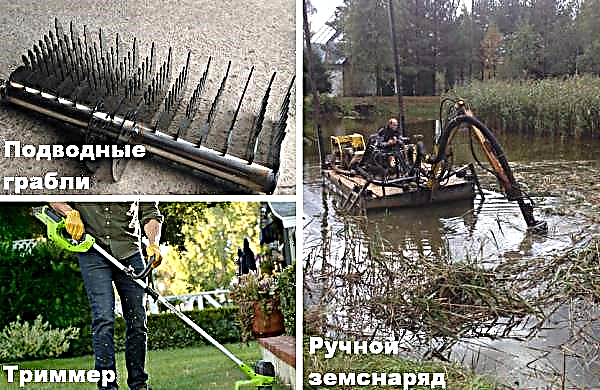 Cara membersihkan kolam kebun dari alang-alang dengan tangan Anda sendiri: cara menyingkirkan cattail, singkirkan alang-alang dari reservoir