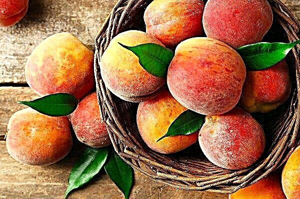 Ukraine’s Peach Paradise Unhappy with 2019 Harvest