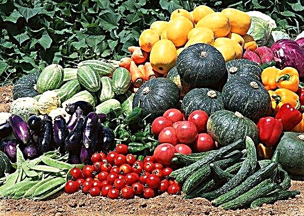 Kiev became the center of the association of vegetable farmers
