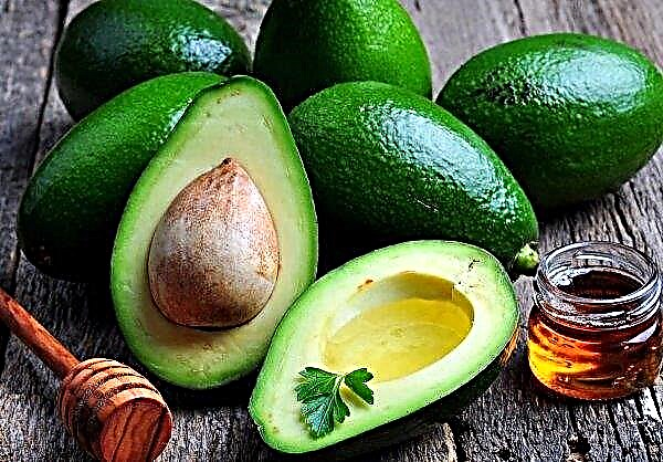 Avocado cultivation can cause ecological collapse after 50 years