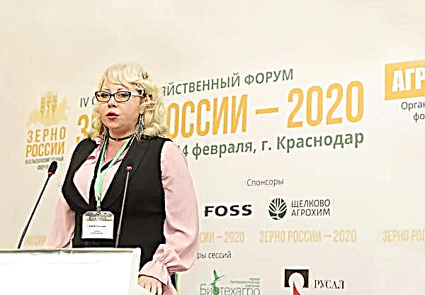 14 febbraio al Crowne Plaza Krasnodar - Il centro di Krasnodar ha ospitato il IV Forum agricolo "Russian Grain"