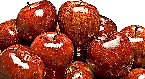 Lokalt odlade äpplen har stigit i pris i Ukraina