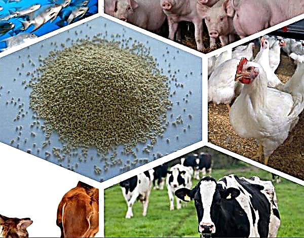 Analiza pieței enzimelor agricole din SUA
