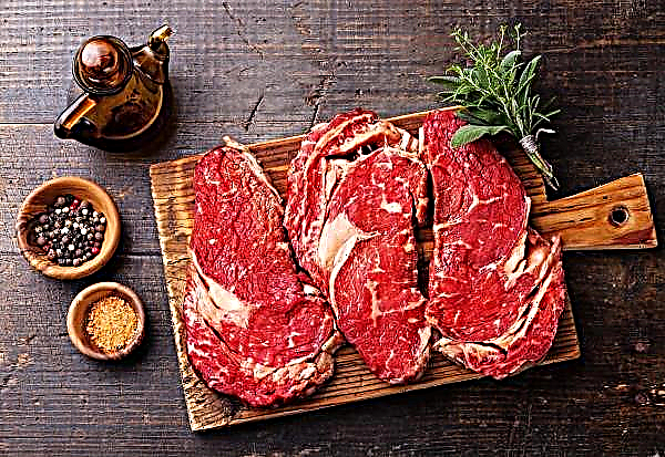 يتم ضبط أكثر من 400 طن من اللحوم المصابة بالبكتيريا من السوق الروسية سنويًا