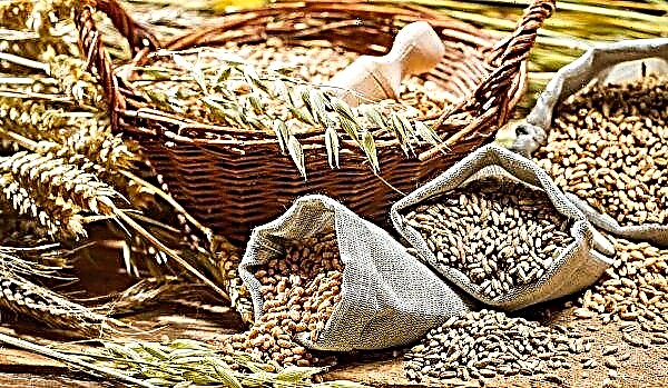 Agricultores russos pretendem coletar mais de 130 milhões de toneladas de grãos