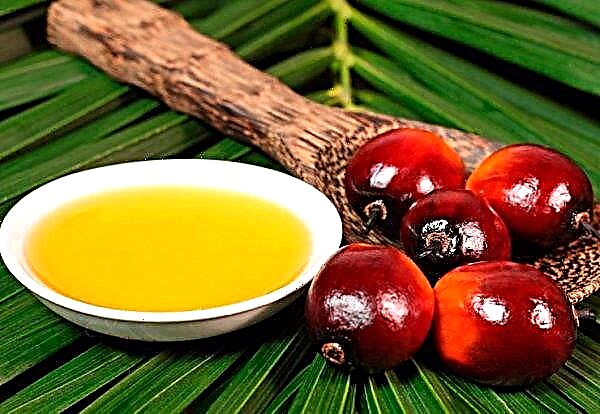 Ceny palmového oleje zůstanou stabilní