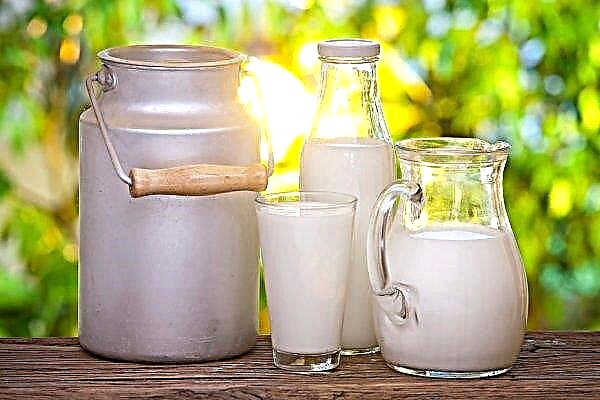 Pasar raya gergasi menaikkan harga susu di Australia